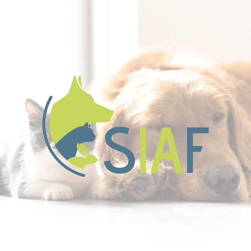 COWAGENCY - LOGO SIAF COWAGENCY - LOGO SIAF